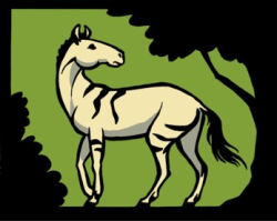 NOW logo